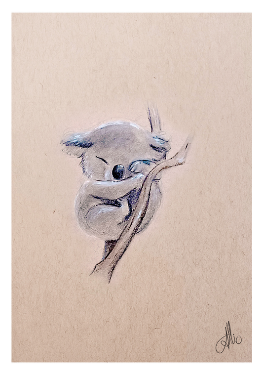 Koala dort illustration A6