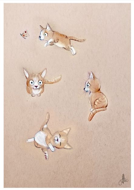 Chat planche Format PDF