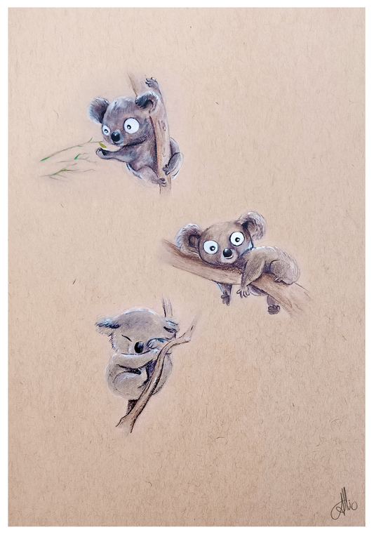 Koala illustration A5