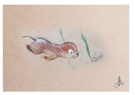 Loutre nage Format PDF