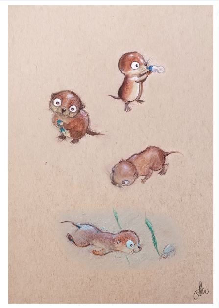 Loutre Fichier PDF