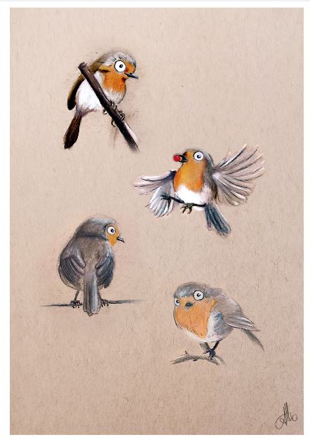 Oiseau Format PDF
