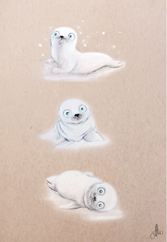 Phoque Impression PDF